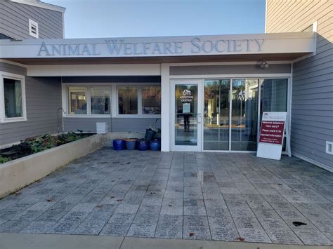 Kennebunk animal shelter - KENNEBUNK — The Animal Welfare Society recently took in three dogs rescued by the Humane Society of the United States from an alleged dog fighting ring in South Carolina. The rescue of 275 dogs ...